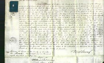 Court of Common Pleas - Thomasin Maddison-Original Ancestry