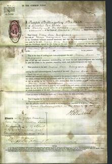Court of Common Pleas - Mary Ann Margrave-Original Ancestry
