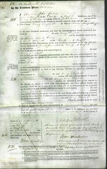 Court of Common Pleas - Mary Elizabeth Sharpe-Original Ancestry