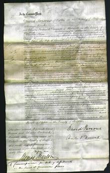 Court of Common Pleas - Jane Millington-Original Ancestry