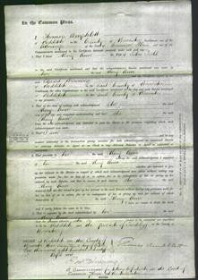 Court of Common Pleas - Mary Ann Field-Original Ancestry