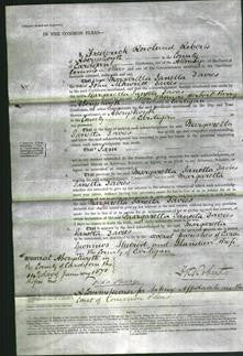Court of Common Pleas - Margaretta Janetta Davies-Original Ancestry