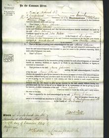 Court of Common Pleas - Anne Johnson-Original Ancestry