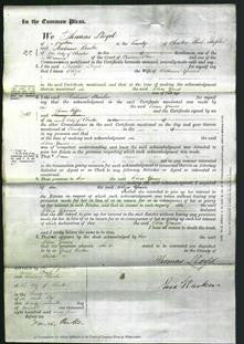 Court of Common Pleas - Eliza Yards-Original Ancestry