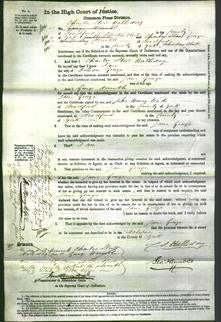 Court of Common Pleas - Jane George-Original Ancestry