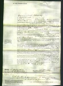 Court of Common Pleas - Anne Fuggle Hammond-Original Ancestry