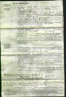 Court of Common Pleas - Isabella Brunskill-Original Ancestry