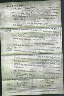 Court of Common Pleas - Mary Cheetham-Original Ancestry