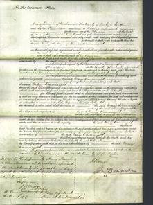 Court of Common Pleas - Mary Wainwright-Original Ancestry