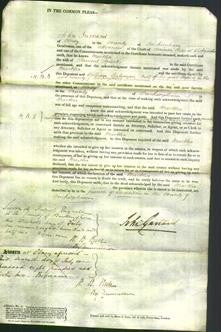 Court of Common Pleas - Martha Sparks-Original Ancestry