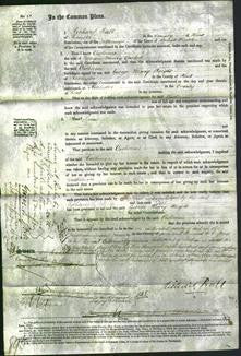 Court of Common Pleas - Catherine Cackett-Original Ancestry