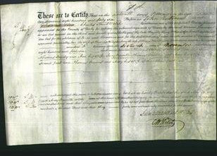 Deed by Married Women - Ann Hardy and Mary Deaville-Original Ancestry