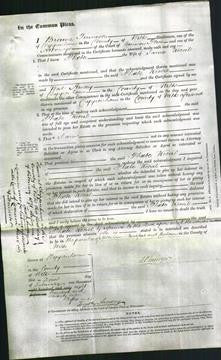 Court of Common Pleas - Phoebe Keevil-Original Ancestry