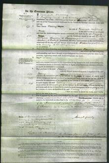 Court of Common Pleas - Fanny Ware-Original Ancestry