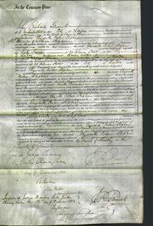 Court of Common Pleas - Elizabeth Croker Stephens-Original Ancestry