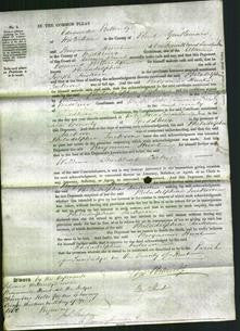 Court of Common Pleas - Philadelphia Jackson-Original Ancestry