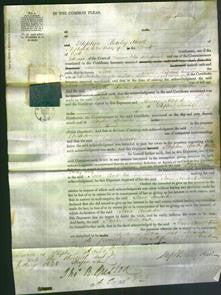 Court of Common Pleas - Jane Anderton-Original Ancestry