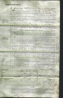 Court of Common Pleas - Emily Hicks and Caroline Richardson-Original Ancestry