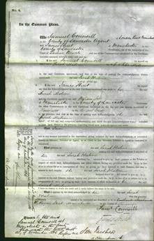 Court of Common Pleas - Sarah Malone-Original Ancestry