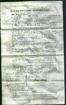 Court of Common Pleas - Emma Johnson-Original Ancestry