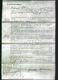 Court of Common Pleas - Sarah Nash-Original Ancestry