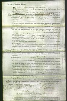 Court of Common Pleas - Hannah Ormerwel-Original Ancestry