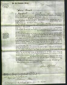 Court of Common Pleas - Anna Elliott-Original Ancestry