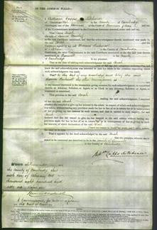 Court of Common Pleas - Sarah Faircliff-Original Ancestry