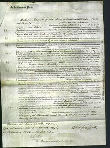 Court of Common Pleas - Sarah Birkley-Original Ancestry