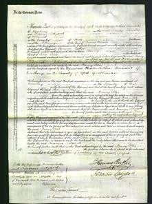 Court of Common Pleas - Nancy Ellis-Original Ancestry