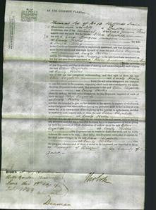 Court of Common Pleas - Ellen Elizabeth Thompson and Emily Holles Lilley-Original Ancestry