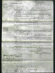 Court of Common Pleas - Lucy Ann Lieusly-Original Ancestry