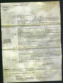 Court of Common Pleas - Sarah Wallis and Rebecca Todd-Original Ancestry