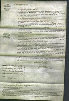 Court of Common Pleas - Ann Elizabeth Coupe-Original Ancestry