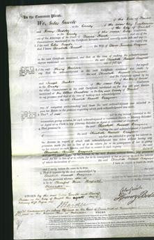 Court of Common Pleas - Elizabeth Russell Craymer-Original Ancestry