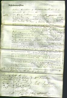 Court of Common Pleas - Isabella Hudson-Original Ancestry