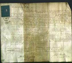 Court of Common Pleas - Jane Campion-Original Ancestry