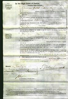 Court of Common Pleas - Mary Catherine Williams-Original Ancestry