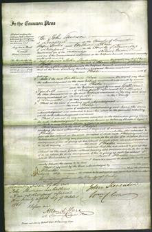 Court of Common Pleas - Phoebe Stevenson-Original Ancestry