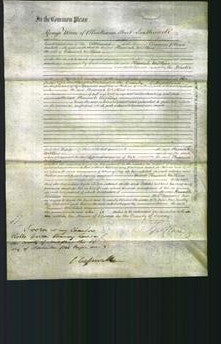 Court of Common Pleas - Hannah Wilkins-Original Ancestry