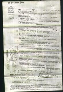 Court of Common Pleas - Eliza Leveque-Original Ancestry