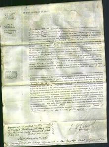 Court of Common Pleas - Sarah Forster Hale-Original Ancestry