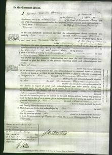 Court of Common Pleas - Marianne Wheeler-Original Ancestry