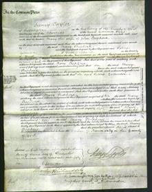 Court of Common Pleas - Mary Shepperd-Original Ancestry