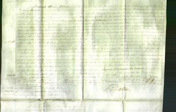 Court of Common Pleas - Ann Francis Harris