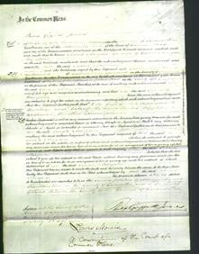 Court of Common Pleas - Sarah Morgan-Original Ancestry