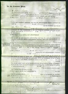 Court of Common Pleas - Caroline Bithrell-Original Ancestry