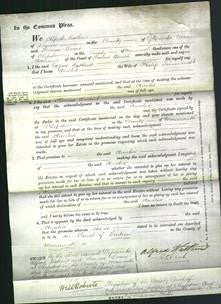 Court of Common Pleas - Amelia Simmonds-Original Ancestry