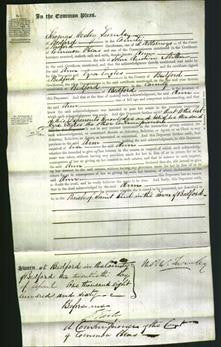 Court of Common Pleas - Ann Miller-Original Ancestry