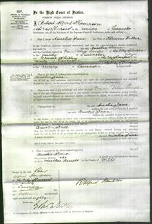 Court of Common Pleas - Amelia Jane Fuller-Original Ancestry